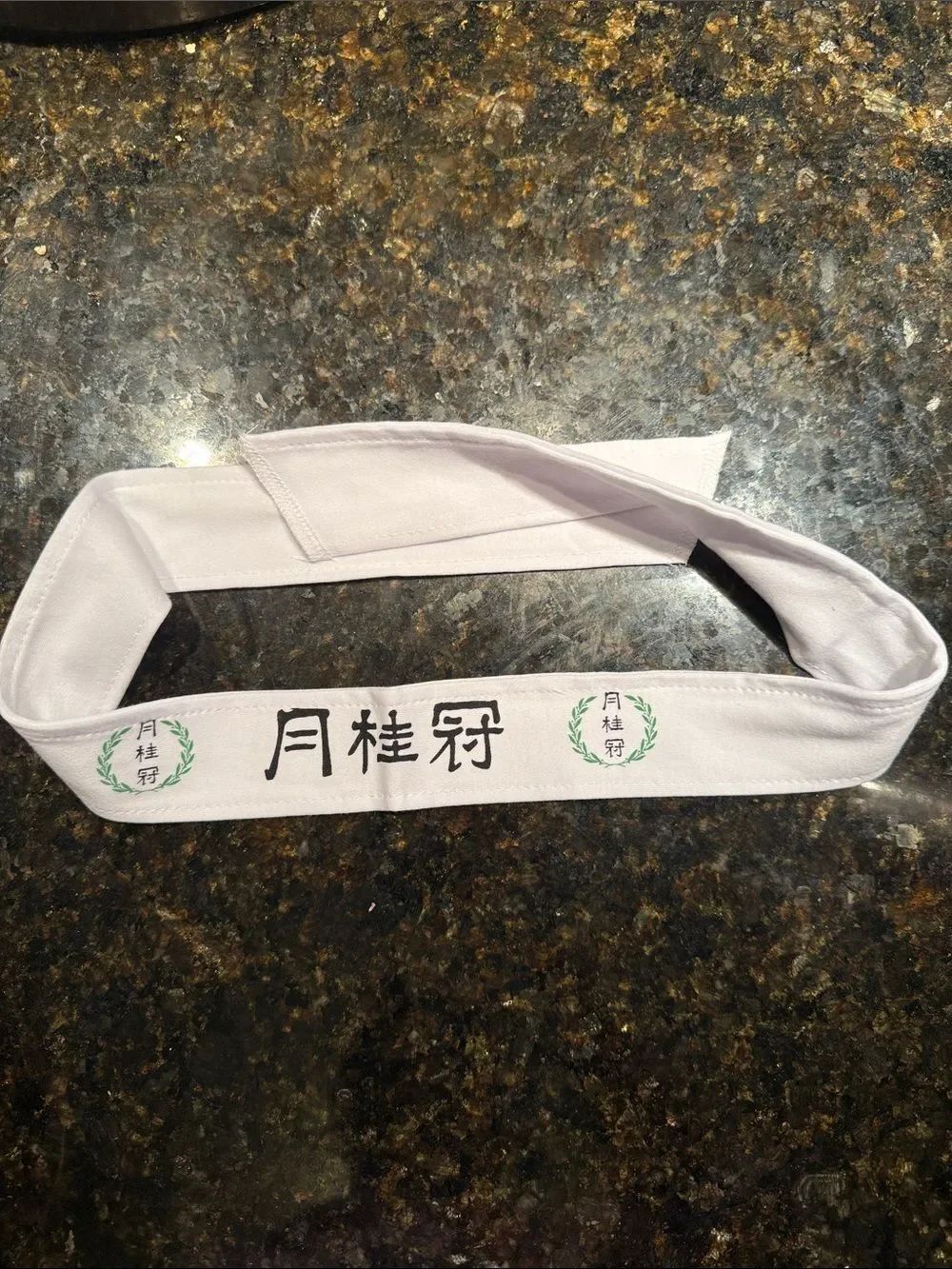White Embroidered Samurai Headband with Asian Letters - BRAND NEW - Never Worn